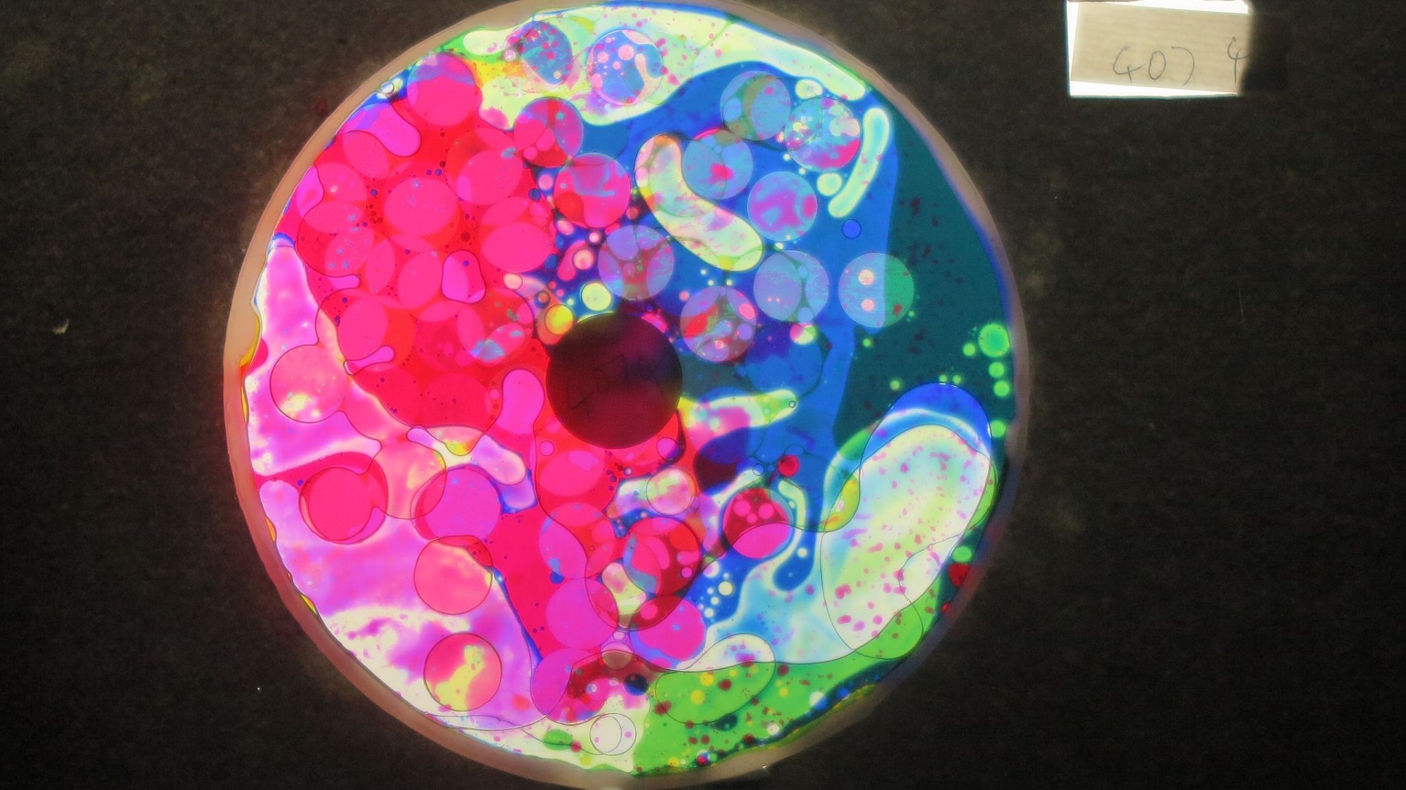 BV4074 bubble vision oil wheel